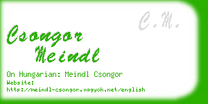csongor meindl business card